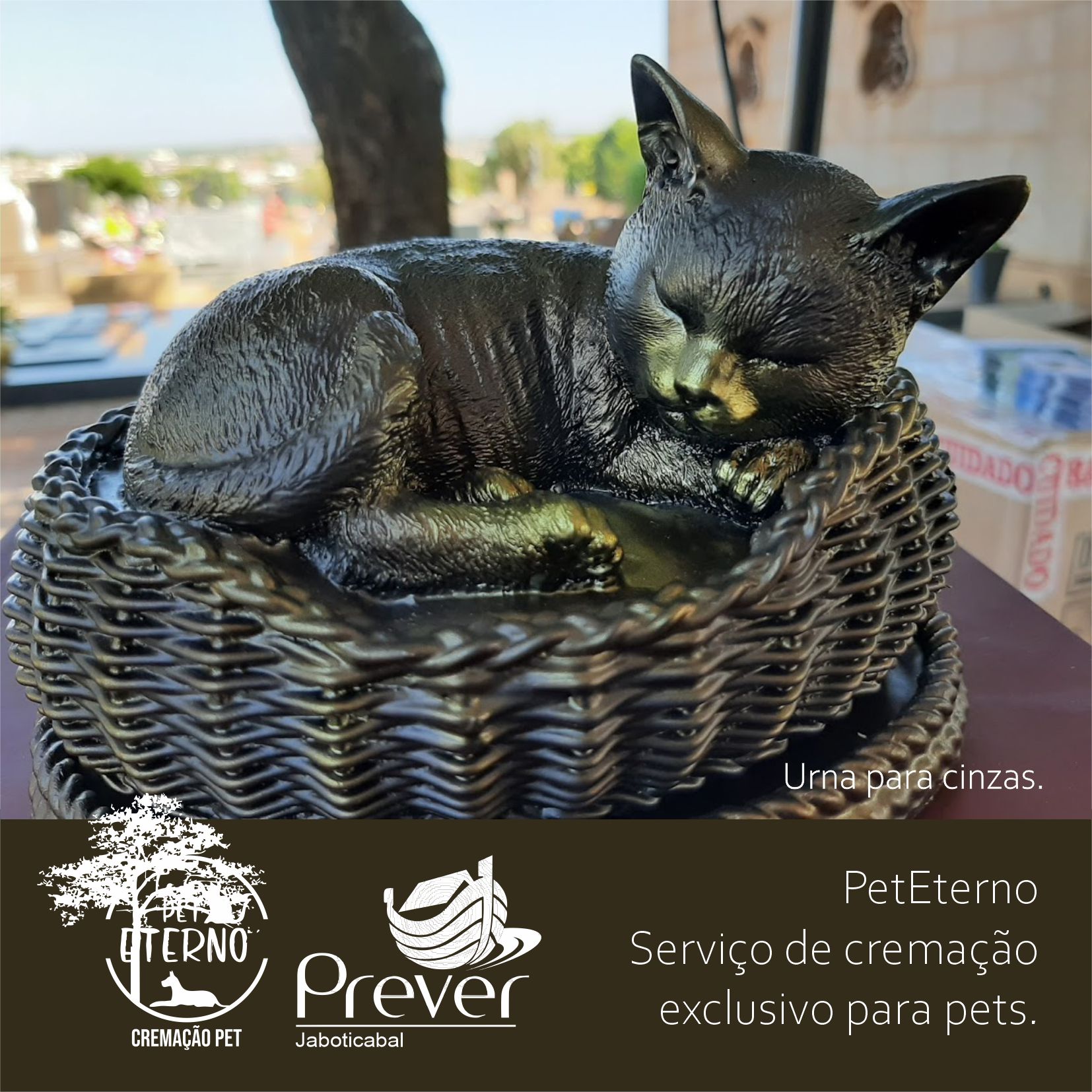 Cremação de pet: o Prever Jaboticabal tem