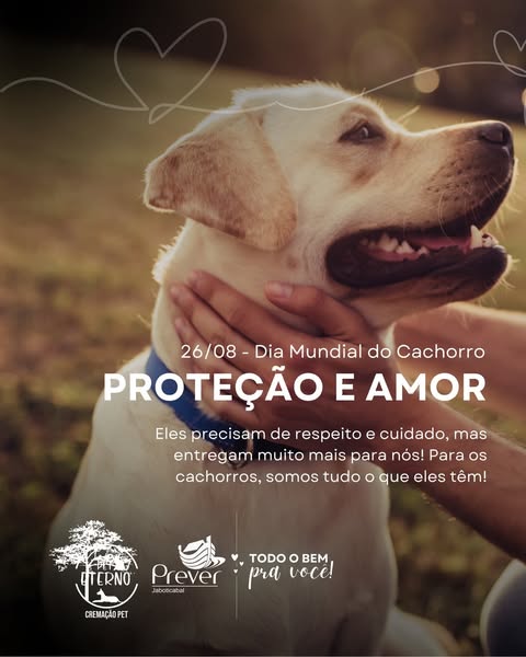  Dia Mundial do Cachorro