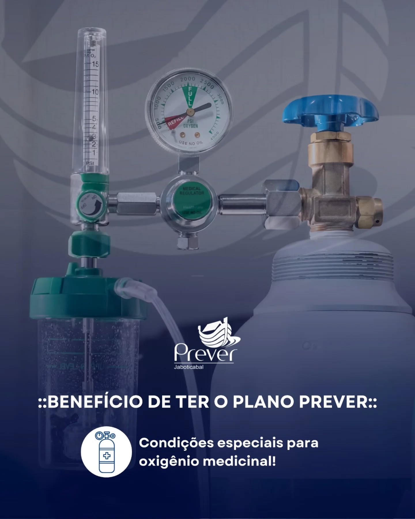 parceiro diário na busca por mais qualidade de vida