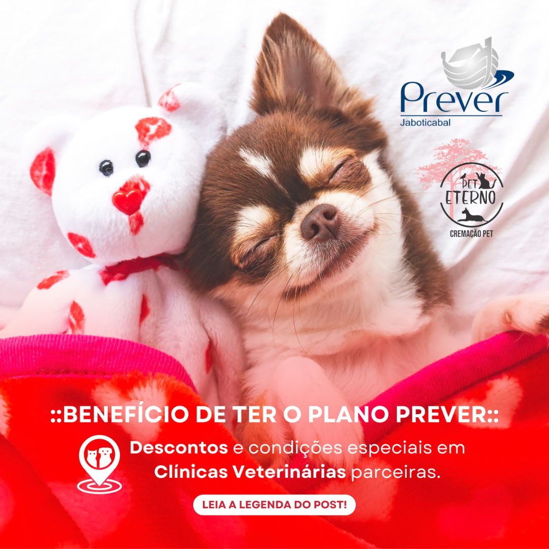 Descontos e vantagens para cuidar do seu pet!