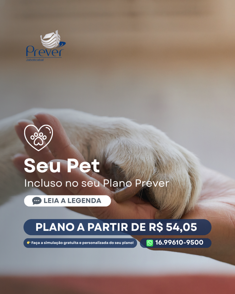Nossos pets são parte central da família